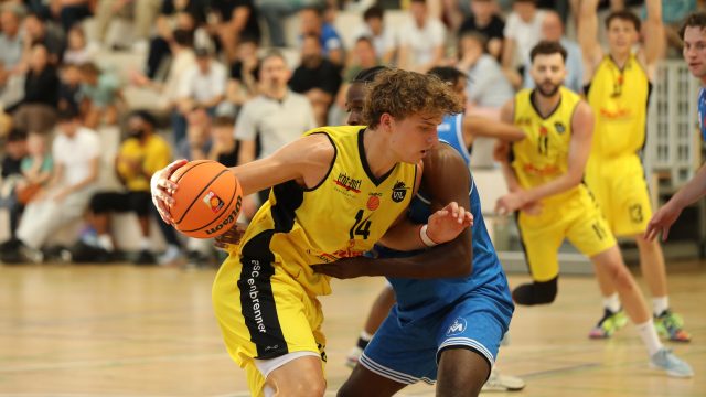 H1 | Regionalligist empfängt am Sonntag die favorisierten Artemis Sunkings Saarlouis